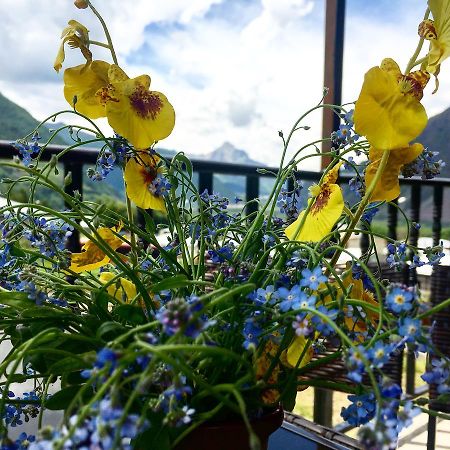 Cherry Otel Kazbegi Dış mekan fotoğraf